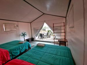 Cama ou camas em um quarto em Ecocamp Huacachina mais 37 fotos