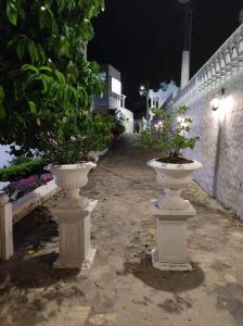 two white vases with plants in them on a street at Cabaña 41, aldea Doradal Santorini Colombiano in Puerto Triunfo