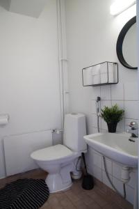 ein Bad mit einem WC und einem Waschbecken in der Unterkunft Oulu city center 4-room apartment Parking in Oulu