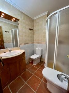 La salle de bains est pourvue d'un lavabo, de toilettes et d'une douche. dans l'établissement CASA RURAL VELEFIQuE, à Velefique