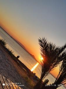 een palmboom op het strand bij zonsondergang bij Relax in La Manga del Mar Menor