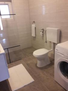 bagno con servizi igienici e lavatrice. di Apartment Splitska a Splitska