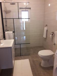 a bathroom with a toilet and a shower and a sink at Apartment Splitska in Splitska +34 photos