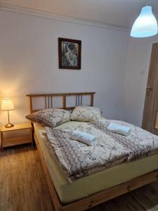 1 dormitorio con 1 cama con 2 almohadas en Apartament w Centrum, en Prudnik