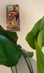 una foto colgada en una pared junto a una planta en Limmatspitz, en Gebenstorf