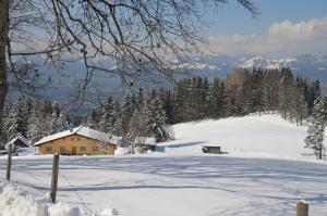 ein Haus auf einem schneebedeckten Hügel mit Bäumen in der Unterkunft Kreiers Alp in Hohenems