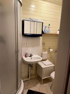 ein kleines Bad mit einem Waschbecken und einem WC in der Unterkunft Ferienwohnung im Spreewald, Nähe Lübben in Golßen