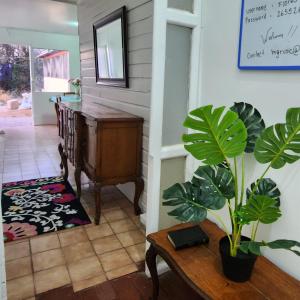 a hallway with a table and a plant in a room at Casa Portal Del Valle in La Serena