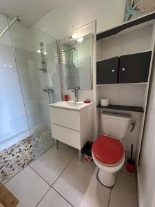 a bathroom with a toilet and a sink and a shower at Les Gites Josiane in Les Trois-Îlets