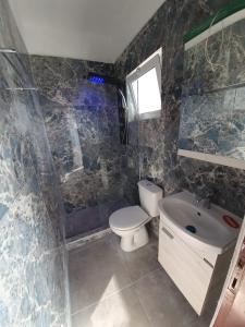 a small bathroom with a toilet and a sink at Giovanni Apartment 21 Kos in Kos Town +23 photos