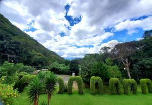 un jardín con un laberinto de arbustos en la hierba en Hostal Casa Búho, en Antigua Guatemala