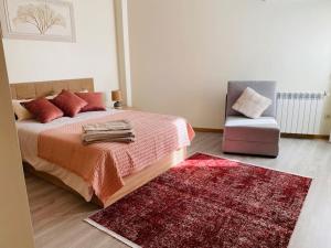 ein Schlafzimmer mit einem Bett, einem Stuhl und einem Teppich in der Unterkunft Chão da Relva - Turismo & Natureza in Loriga