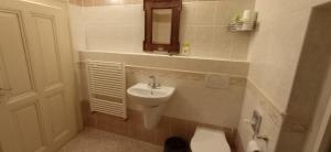 Koupelna v ubytování Hotel U Zlateho jelena