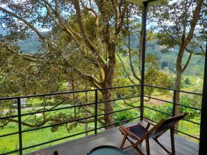 a balcony with a chair and a tree at The Hill in Kampong Sum Sum +21 photos