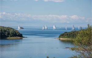 a group of sailboats in a large body of water at One-Bedroom Apartment In Vrsar in Vrsar