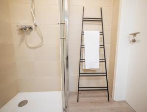 doccia con scala a pioli in bagno di Noble Suite - Living & Work Place a Gießen
