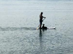 two men are standing on a paddle board in the water at FIVE STAR - Ruby Bay in Mapua