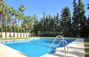 マルベーリャにあるStunning Apartment In Las Chapas With 1 Bedrooms, Wifi And Outdoor Swimming Poolの木々が茂る空きスイミングプール