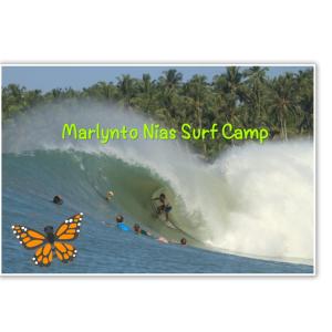 Photo de la galerie de l'établissement Marlynto Nias Losmen, à Lagudri