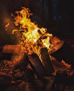 a fire burns in a pile of logs at Schwedische Winter Hütte unter Buchen in Landolfshausen