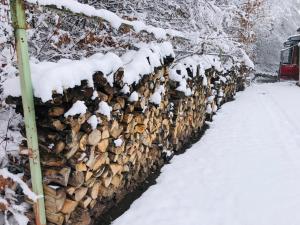 Schwedische Winter Hütte unter Buchen kapag winter