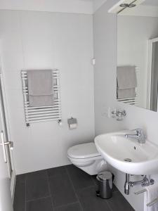 Baño blanco con aseo y lavamanos en Casa Ai Portici, en Gordola