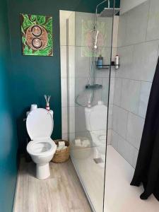 La salle de bains est pourvue de toilettes et d'une douche en verre. dans l'établissement Maison 6 places, en plein cœur de l’Ariège, proche ski et nature, à Lesparrou