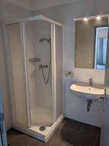 a bathroom with a shower and a sink at Casa Ai Portici in Gordola