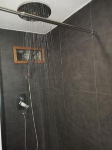 a shower with a shower head in a bathroom at A Casiña da Ponte in Padrón +17 photos