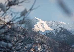 Výhľad na hory alebo výhľad na hory priamo z apartmánu