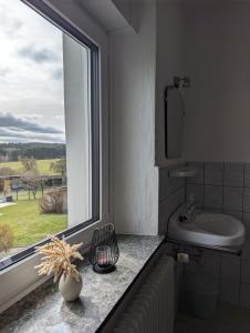 a bathroom with a sink and a window at Pensionszimmer Larifari in Drees