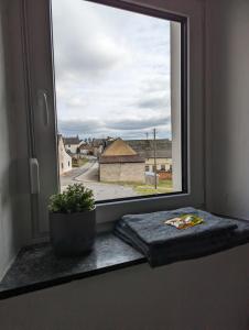 ein Fenster mit einer Topfpflanze auf einem Fensterbrett in der Unterkunft Pensionszimmer Larifari in Drees