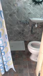 ein Badezimmer mit einem WC, einem Waschbecken und einem Duschvorhang in der Unterkunft Riad Espagne in Marrakesch