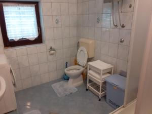 a small bathroom with a toilet and a shower at Ana in Zaglav +24 photos