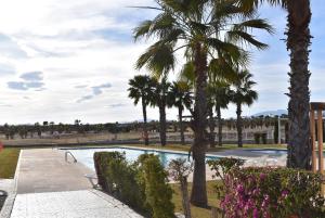 a swimming pool with palm trees in a park at Sonne - Golf - 4Pers. - Apartments in Fuente-Álamo de Murcia