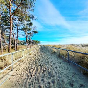 un camino de tierra que conduce a una playa con árboles en Domek w Parku Hel, en Hel