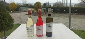 two bottles of wine sitting on a table at Sunshine 208 apartman in Balatonszárszó