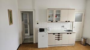 eine kleine Küche mit weißen Schränken und einem Waschbecken in der Unterkunft Ubytování Pavel Voborník in Blatná