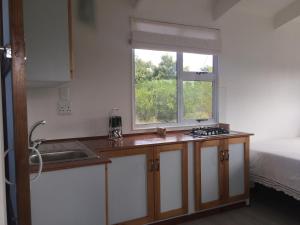 a kitchen with a sink and a window next to a bed at Fynbos Tiny Home - Off Grid, Surrounded by Nature in Plettenberg Bay