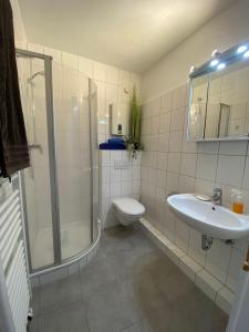 La salle de bains est pourvue d'une douche, de toilettes et d'un lavabo. dans l'établissement Weitblick 2, à Sankt Augustin