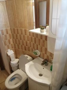フネドアラにあるAmigoHDの小さなバスルーム(トイレ、シンク付)