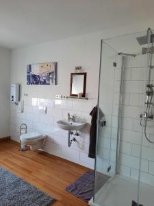 a bathroom with a sink and a glass shower at Ferienwohnung am Rittershof Heusweiler in Heusweiler