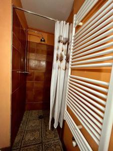 a bathroom with a shower with a shower curtain at Le Petit Bois Normand in Champ-du-Boult