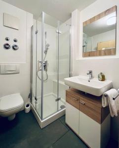 ein Bad mit einer Dusche, einem Waschbecken und einem WC in der Unterkunft Waldtwin 2 Titisee (W12) + Hochschwarzwald Card in Titisee-Neustadt