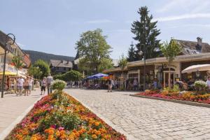 Une rue dans une ville avec un bouquet de fleurs dans l'établissement Waldtwin 2 Titisee (W12) + Hochschwarzwald Card, à Titisee-Neustadt