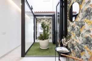 Kép Sunnyland terraza san andrés szállásáról San Andrésben a galériában