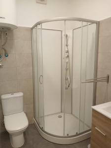 a bathroom with a shower with a toilet and a sink at Casa con jardín, 1 habitación, barbacoa in Collado Mediano