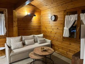 Cabaña de madera Valle de Incles Orenetes的休息区