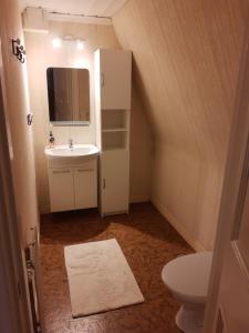 een kleine badkamer met een wastafel en een spiegel bij Brofors in Forsheda