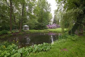 Сад в Villa Brodthage, App. 4